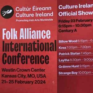 Culture Ireland - Ciaran Walsh